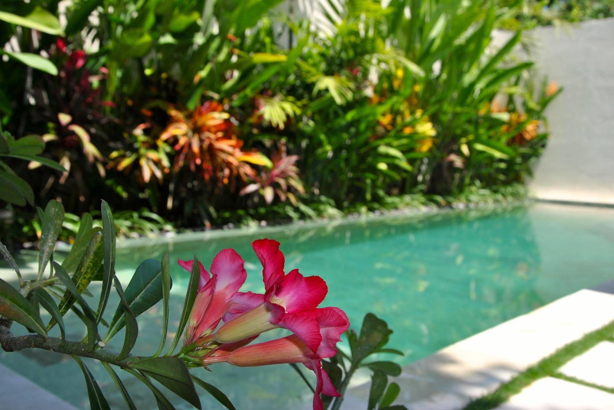 Villa Bali Asri Batubelig Seminyak Dış mekan fotoğraf